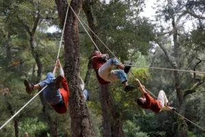 Quatre personnes sont suspendues dans la forêt avec des cordages.