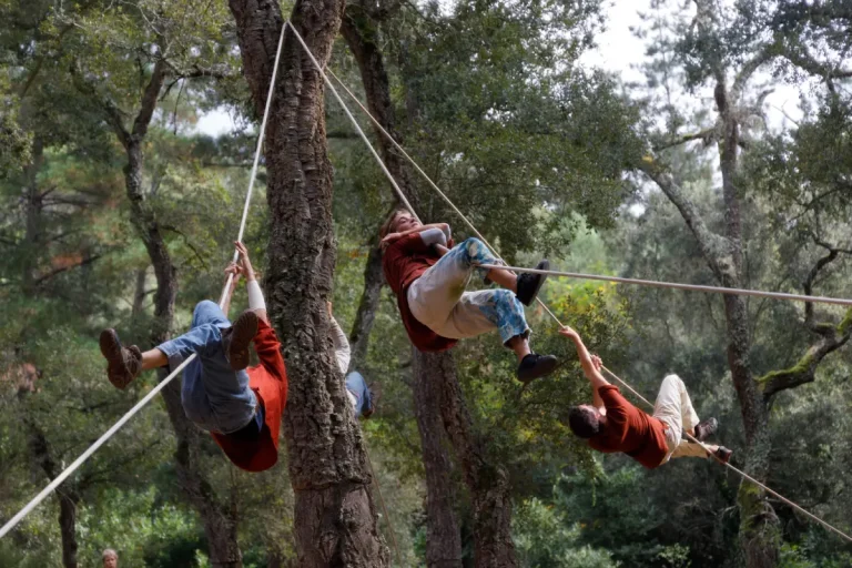 Quatre personnes sont suspendues dans la forêt avec des cordages.