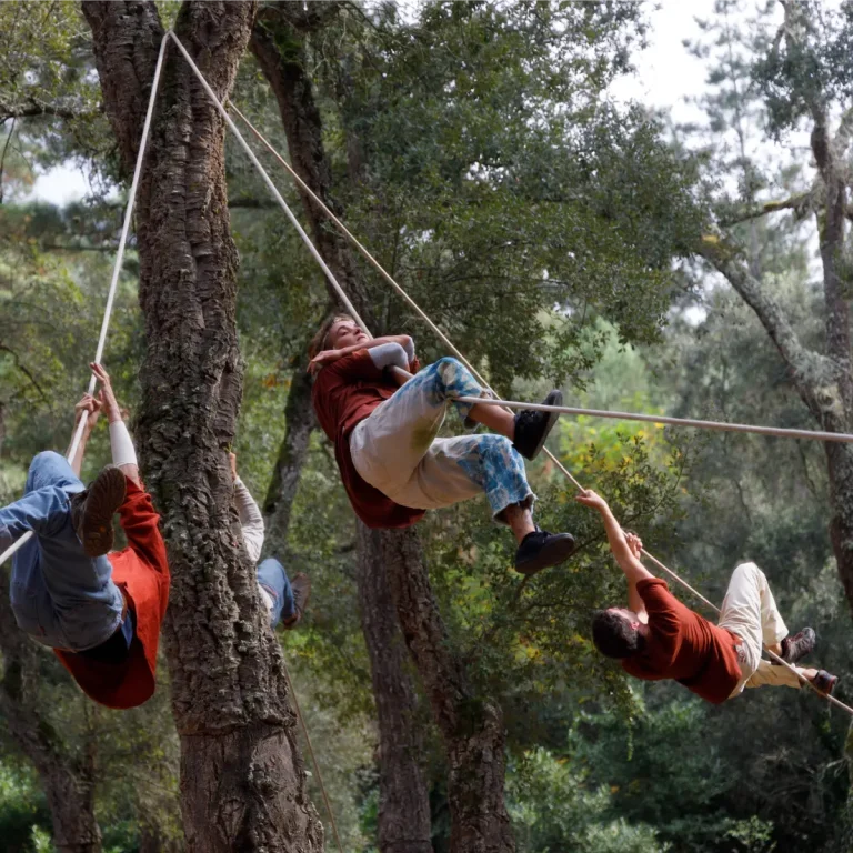 Quatre personnes sont suspendues dans la forêt avec des cordages.