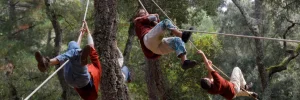 Quatre personnes sont suspendues dans la forêt avec des cordages.